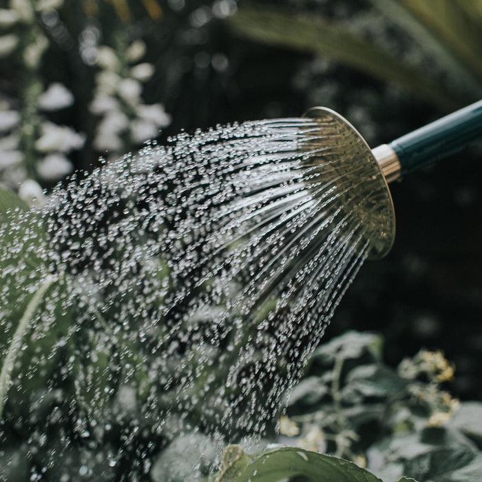 Haws The Bearwood Brook Green - Two Gallon Outdoor Metal Watering Can