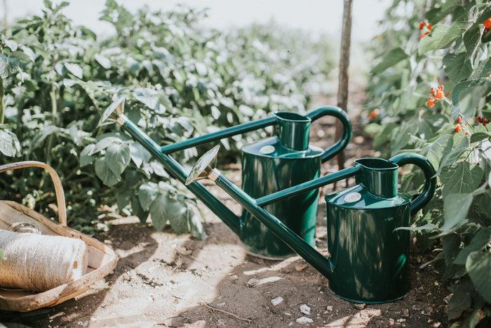 Haws The Bearwood Brook - Little And Large Outdoor Metal Watering Can Bundle