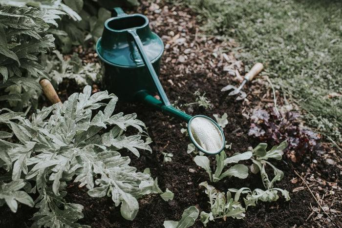 Haws The Cradley Cascader Green - Balanced Pair - One & A Half Gallon Outdoor Plastic Watering Can