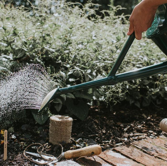 Haws The Cradley Cascader Green - One & A Half Gallon Outdoor Plastic Watering Can