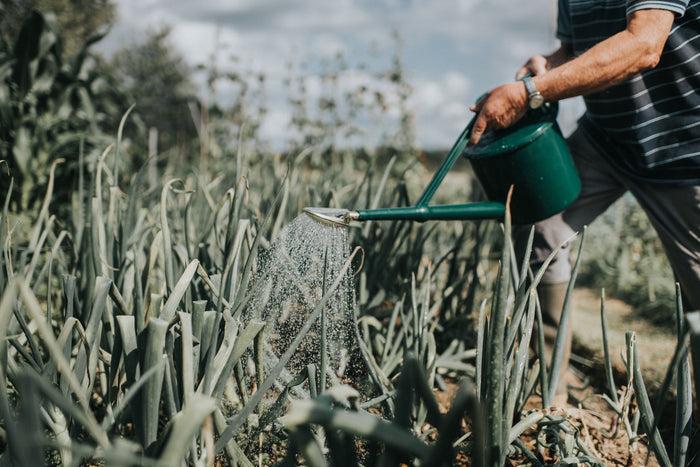 Haws The Cradley Deluxe - Balanced Pair - One & A Half Gallon Outdoor Plastic Watering Can