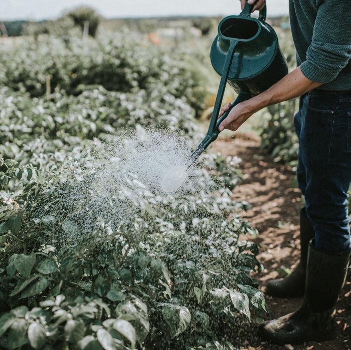 Haws The Cradley Deluxe - Full Monty Kit - One & A Half Gallon Outdoor Plastic Watering Can