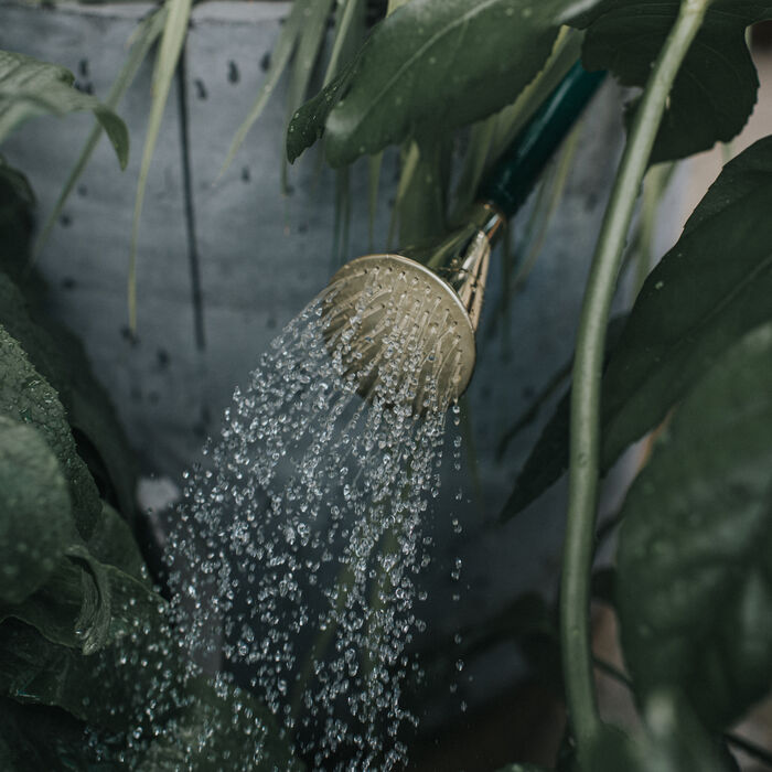 Haws The Cradley Deluxe - Potting Kit - One & A Half Gallon Outdoor Plastic Watering Can