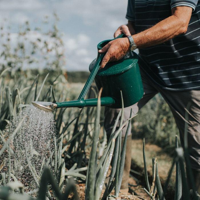 Haws The Cradley Deluxe - Starter Kit - One & A Half Gallon Outdoor Plastic Watering Can