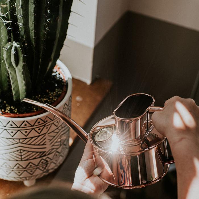 Haws The Fazeley Flow Copper - One Pint Indoor Copper Watering Can
