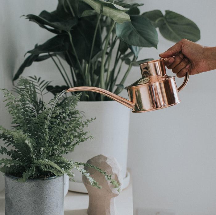 Haws The Fazeley Flow Copper - One Pint Indoor Copper Watering Can