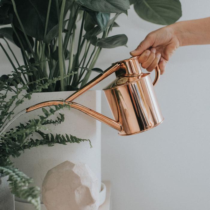 Haws The Fazeley Flow Copper - Two Pint Indoor Copper Watering Can