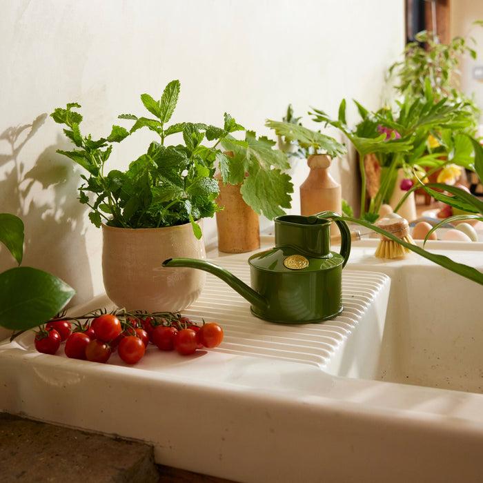 Haws The Fazeley Flow Fern Green - One Pint Indoor Metal Watering Can