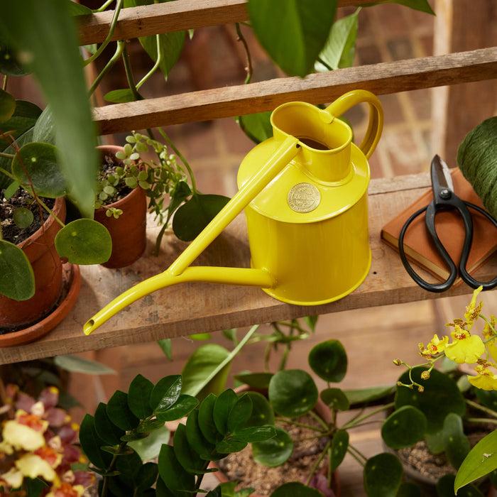 Haws The Fazeley Flow - Fern Green - Two Pint Indoor Metal Watering Can