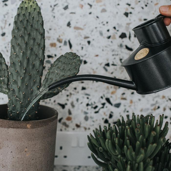 Haws The Fazeley Flow Graphite - One Pint Indoor Metal Watering Can