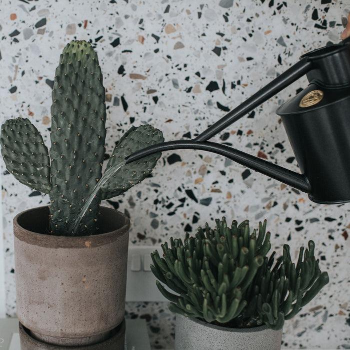 Haws The Fazeley Flow Graphite - Two Pint Indoor Metal Watering Can