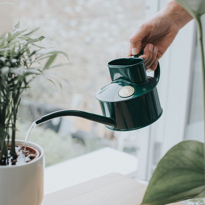 Haws The Fazeley Flow Green - One Pint Indoor Metal Watering Can