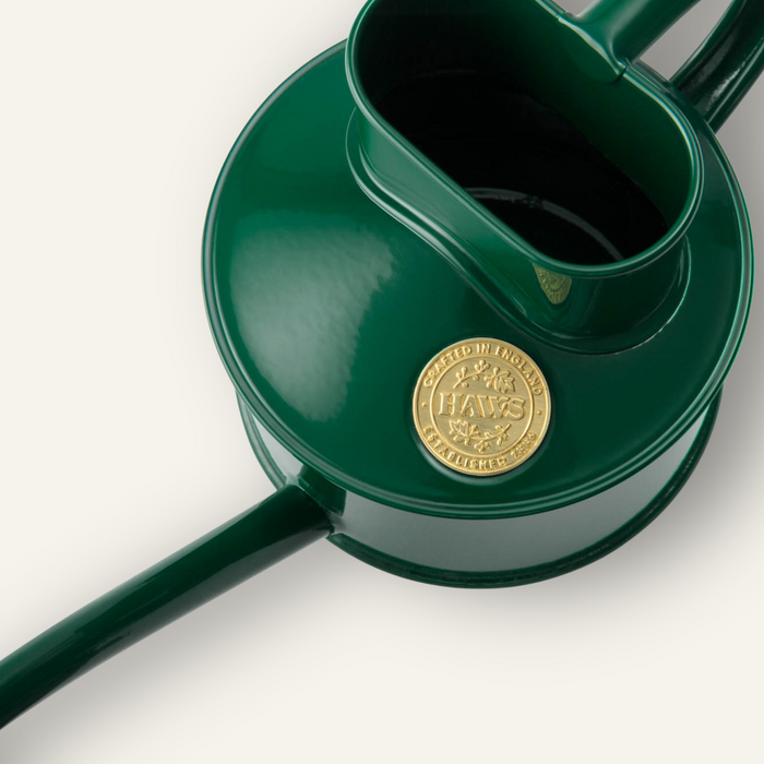 Haws The Fazeley Flow Green - One Pint Indoor Metal Watering Can