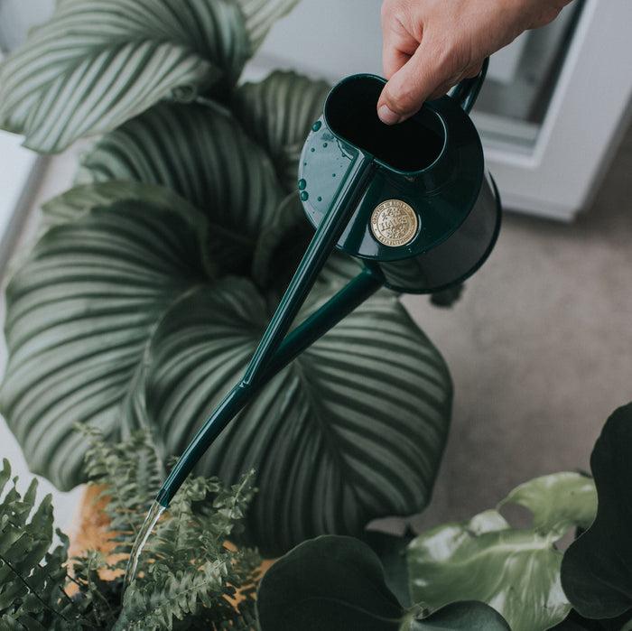 Haws The Fazeley Flow Green - Two Pint Indoor Metal Watering Can