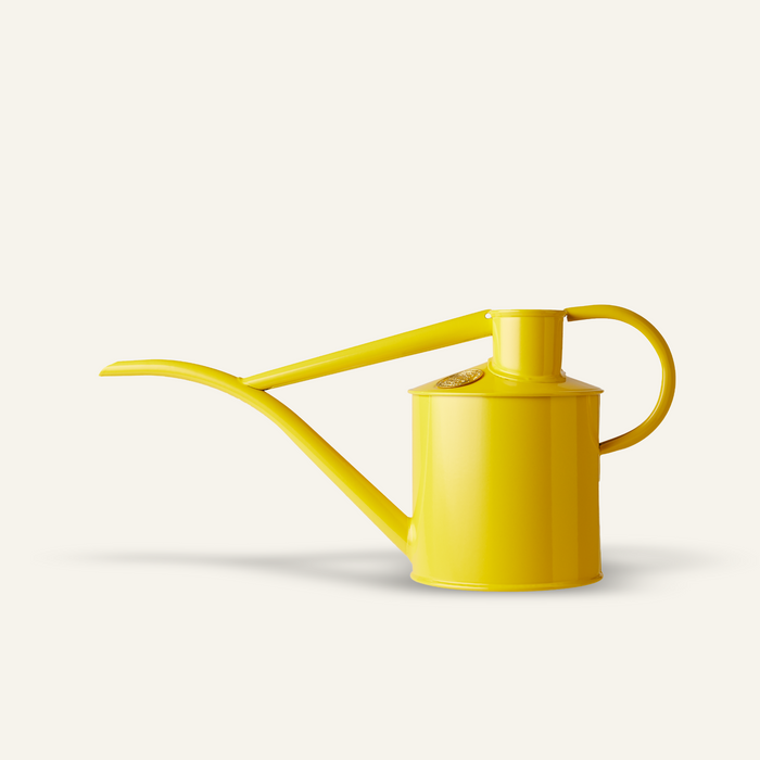 haws The Fazeley Flow - Lotus Yellow - Two Pint Indoor Metal Watering Can