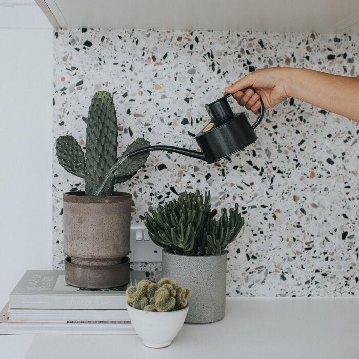 Haws The Fazeley Flow - Plants And Flowers Set - Graphite - One Pint Indoor Metal Watering Can And Jug Bundle