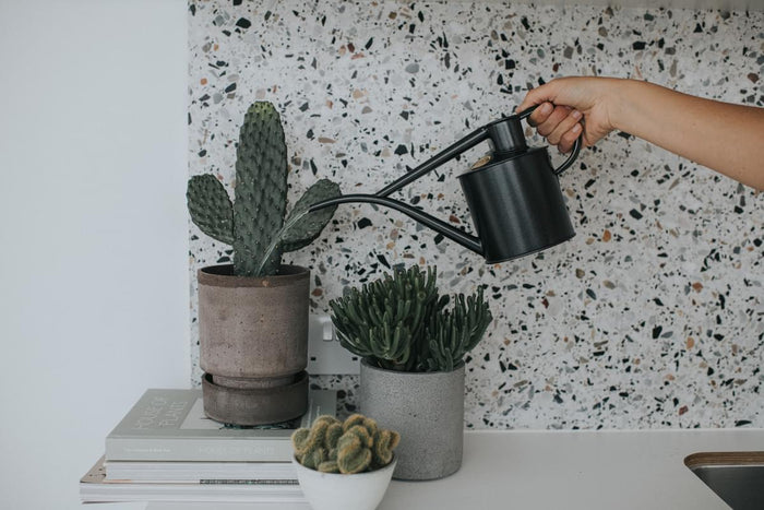 Haws The Fazeley Flow - Plants And Flowers Set - Graphite - Two Pint Indoor Metal Watering Can And Jug Bundle