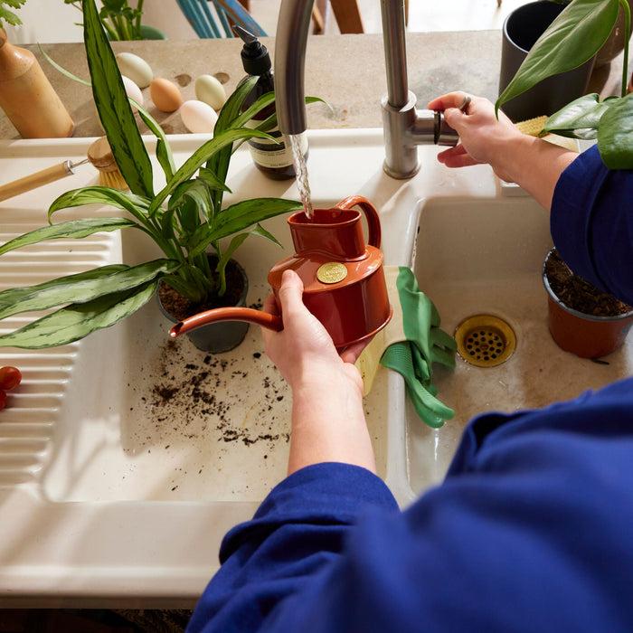 Haws The Fazeley Flow Terracotta Orange - One Pint Indoor Metal Watering Can