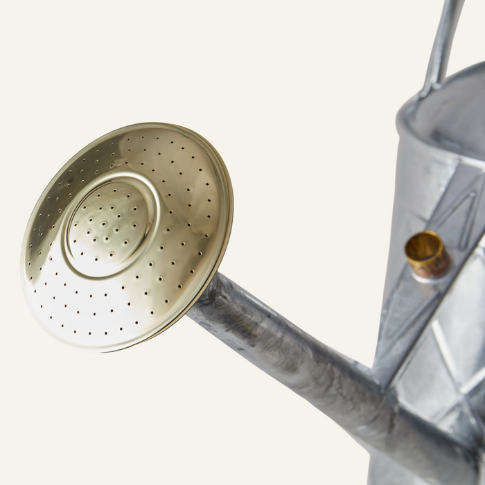 Haws The Hockley Heritage HDG - 2 Gallon Galvanised Outdoor Metal Watering Can