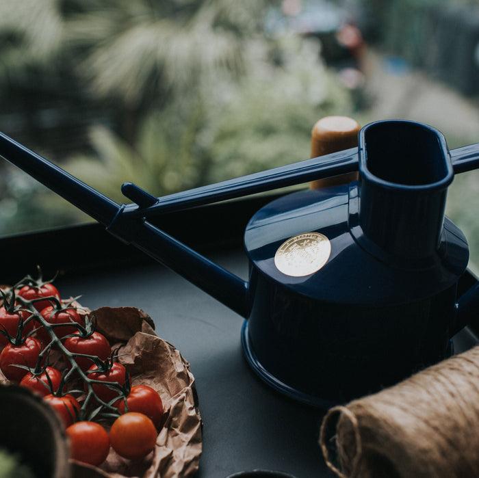 Haws The Langley Sprinkler Blue - One Pint Indoor Plastic Watering Can