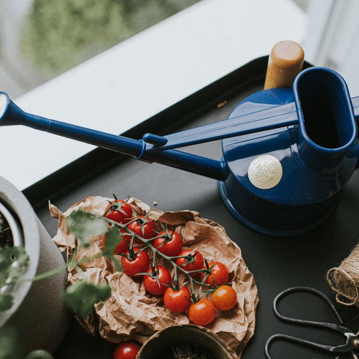 Haws The Langley Sprinkler Blue - One Pint Indoor Plastic Watering Can