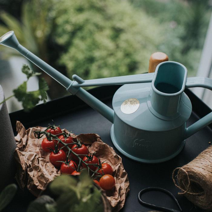 Haws The Langley Sprinkler Duck Egg Blue - One Pint Indoor Plastic Watering Can