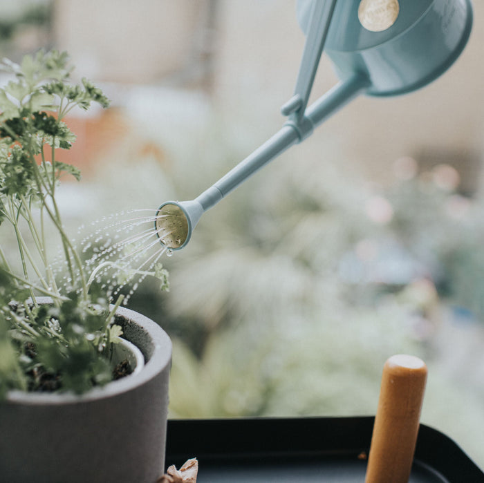 Haws The Langley Sprinkler Duck Egg Blue - One Pint Indoor Plastic Watering Can