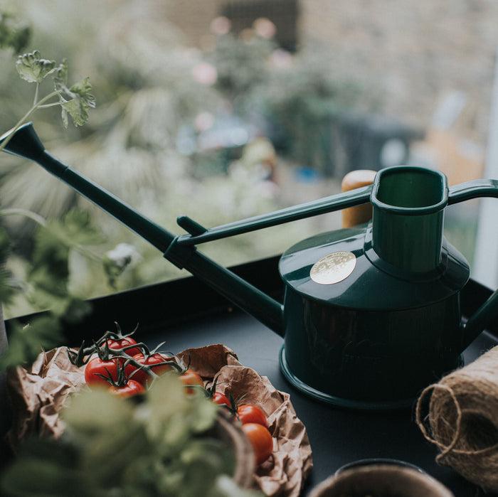haws The Langley Sprinkler Green - One Pint Indoor Plastic Watering Can