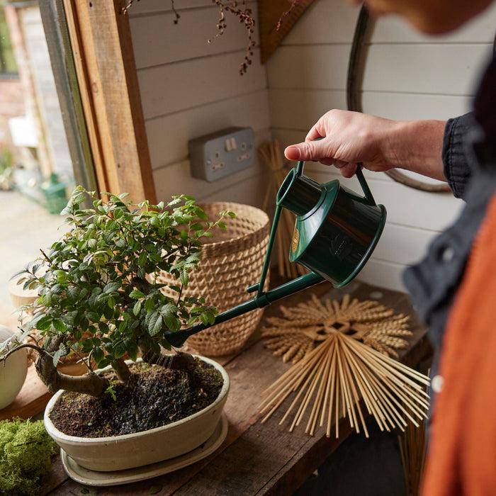 haws The Langley Sprinkler Green - One Pint Indoor Plastic Watering Can