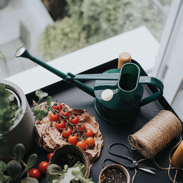 Haws The Langley Sprinkler Green - One Pint Indoor Plastic Watering Can