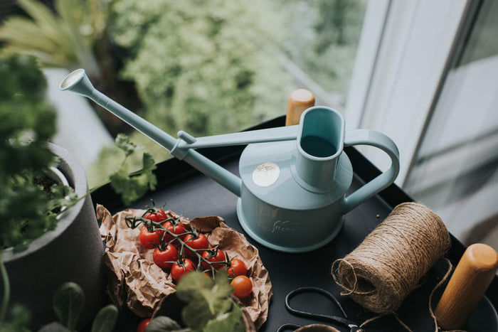 Haws The Langley Sprinkler - Houseplant Set - Duck Egg Blue & Brass Indoor Plastic Watering Can And Spritzer Bundle