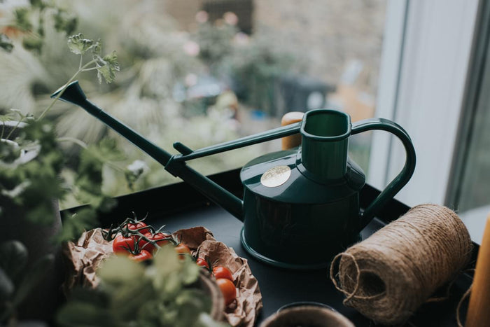 Haws The Langley Sprinkler - Houseplant Set - Green & Brass Indoor Plastic Watering Can And Spritzer Bundle