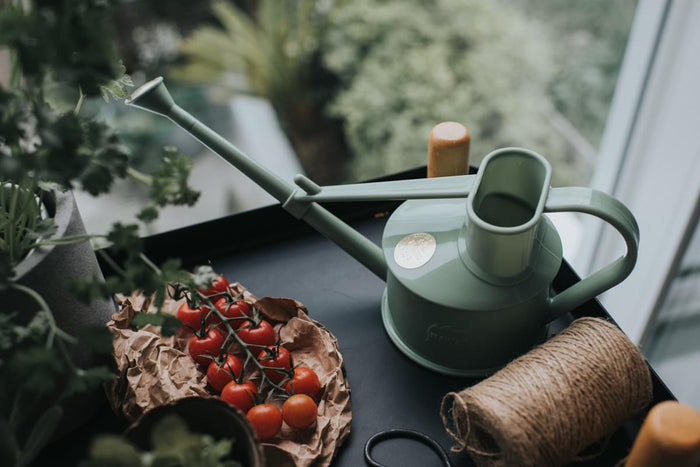 Haws The Langley Sprinkler - Houseplant Set - Sage & Brass Indoor Plastic Watering Can And Spritzer Bundle