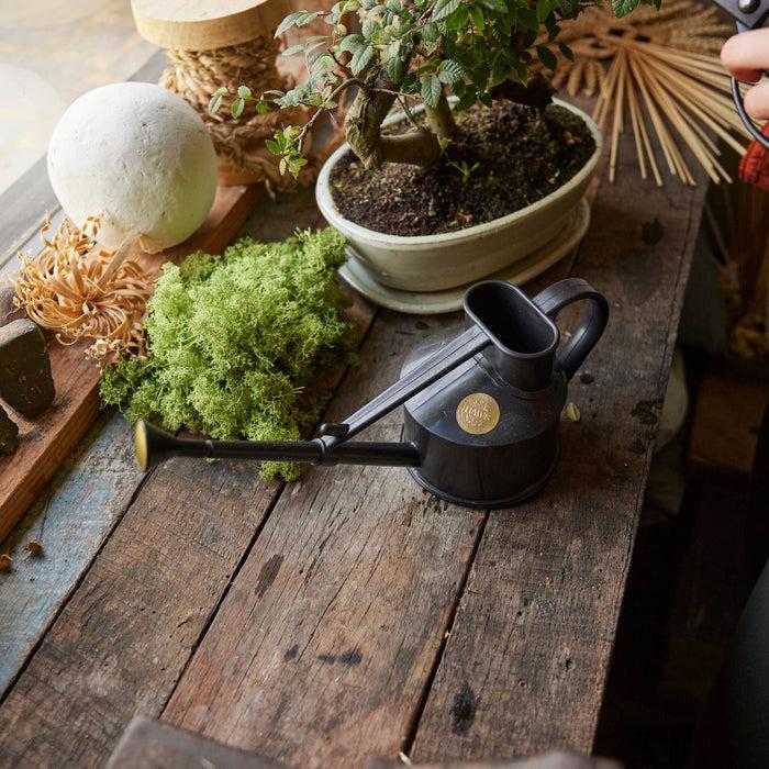 Haws The Langley Sprinkler Recycled Black - One Pint Indoor Plastic Watering Can