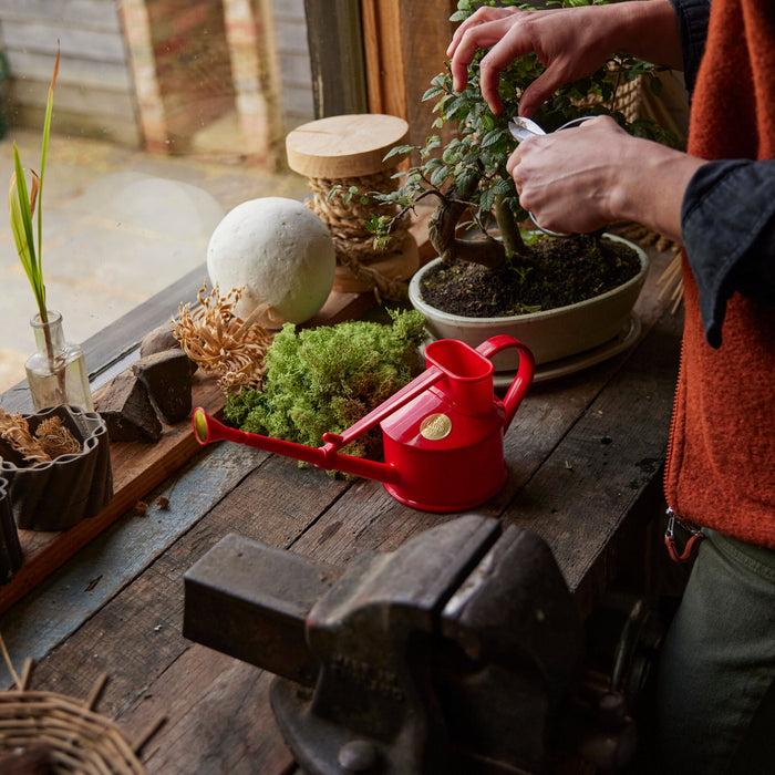 Haws The Langley Sprinkler Red - One Pint Indoor Plastic Watering Can