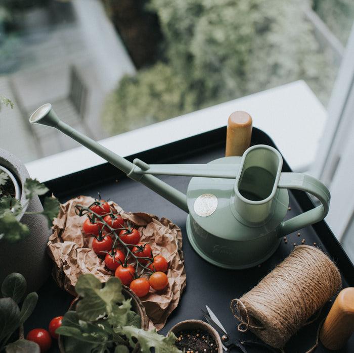 Haws The Langley Sprinkler Sage - One Pint Indoor Plastic Watering Can