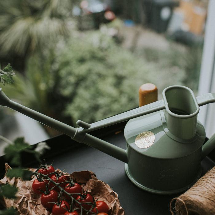 Haws The Langley Sprinkler Sage - One Pint Indoor Plastic Watering Can