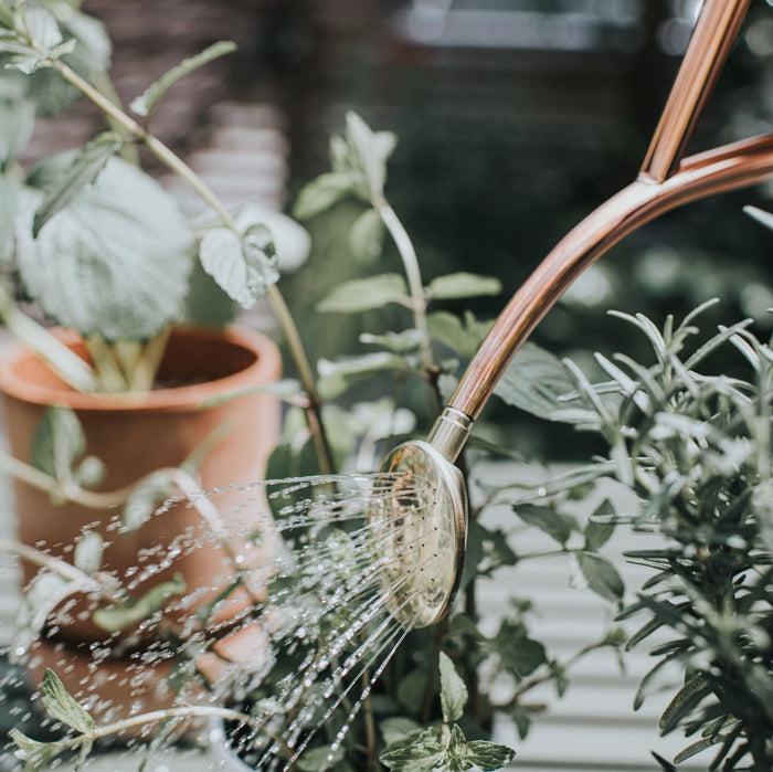 Haws The Rowley Ripple Copper - Two Pint Indoor Copper Watering Can