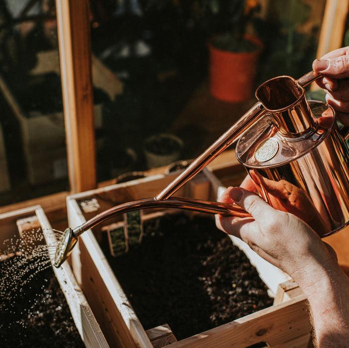 Haws The Rowley Ripple Copper - Two Pint Indoor Copper Watering Can