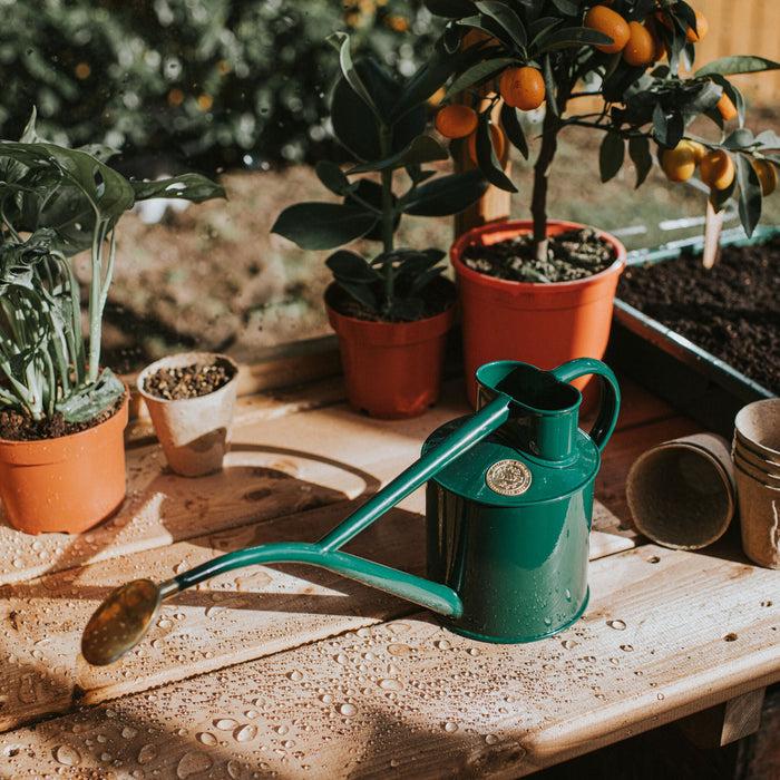 Haws The Rowley Ripple Green - Two Pint Indoor Metal Watering Can