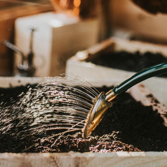 Haws The Rowley Ripple Green - Two Pint Indoor Metal Watering Can