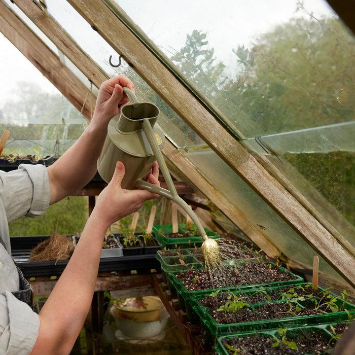 Haws The Rowley Ripple - Lichen Green - Two Pint Indoor Metal Watering Can