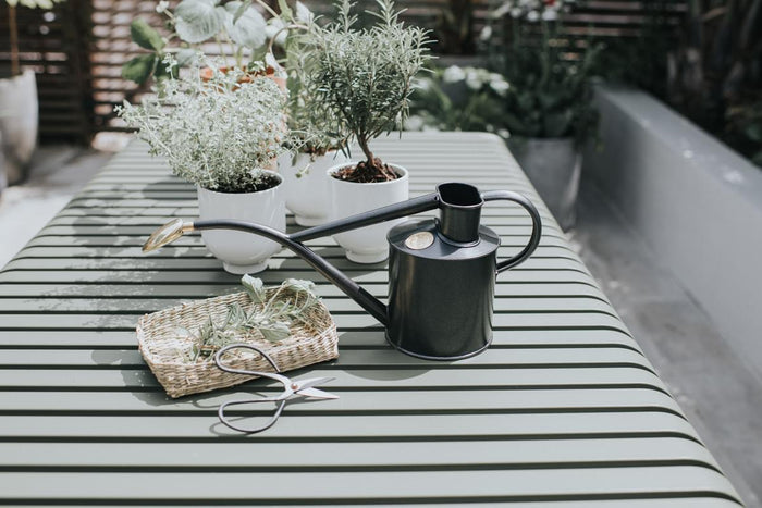 Haws The Rowley Ripple - Plants And Flowers Set - Graphite - Two Pint Indoor Metal Watering Can And Jug Bundle