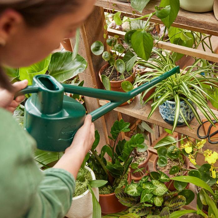 Haws The Sutton Splash Green - Four Pint Indoor Plastic Watering Can