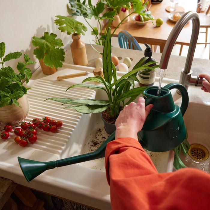 Haws The Sutton Splash Green - Four Pint Indoor Plastic Watering Can