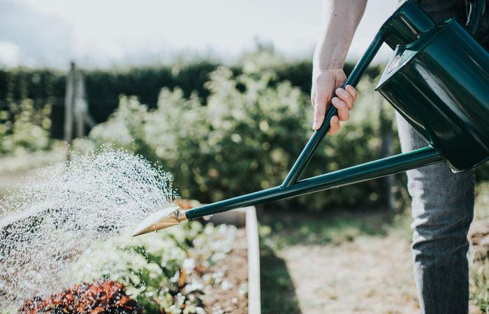 Haws The Warley - Fall Balanced Pair - Two Gallon Outdoor Metal Watering Can