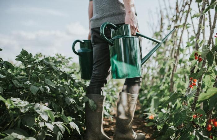 Haws The Warley Fall - Green - Bedding Kit - Two Gallon Outdoor Metal Watering Can