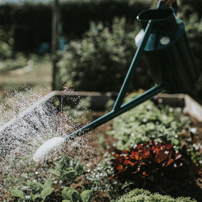 Haws The Warley Fall - Green - Full Monty Kit - One Gallon Outdoor Metal Watering Can