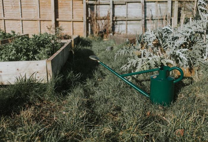 Haws The Warley Fall - Green - Potting Kit - One Gallon Outdoor Metal Watering Can