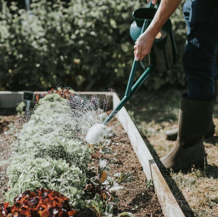 Haws The Warley Fall - Green - Starter Kit - One Gallon Outdoor Metal Watering Can